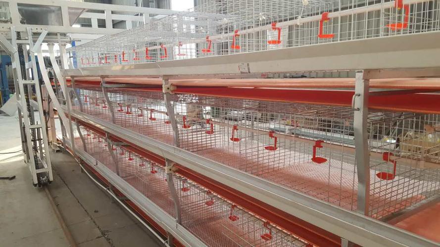 厂家直销鸡笼子立式育雏笼雏鸡笼全自动养殖设备大量批发生产